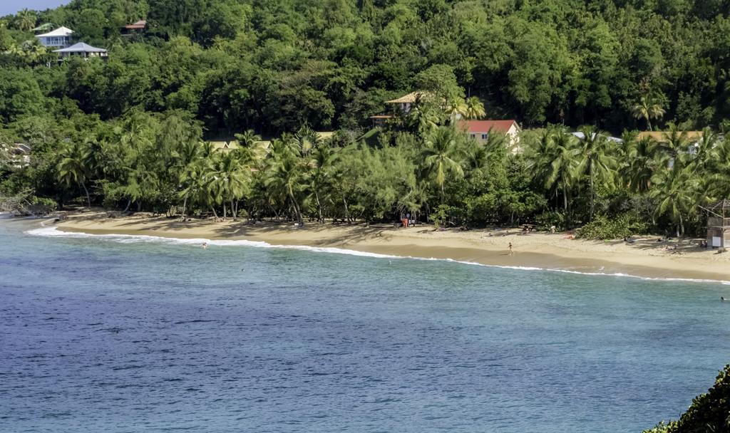 Apartmán Studio Anse L'Etang Tartane Exteriér fotografie